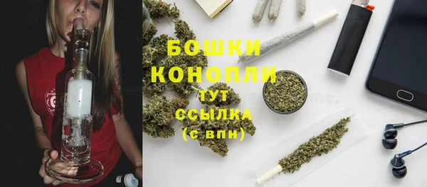 прущая мука Инсар