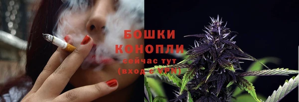 гашик Каменногорск