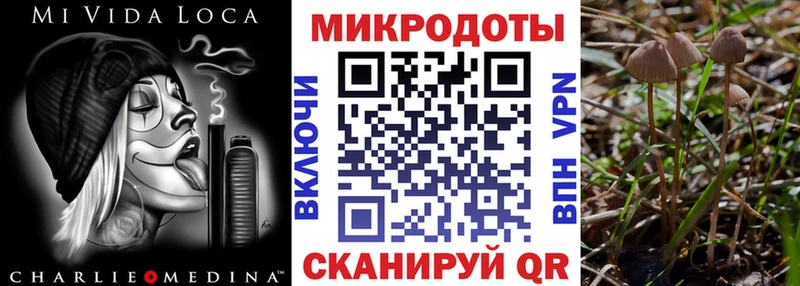 где можно купить   Мегион  ОМГ ОМГ вход  Галлюциногенные грибы мицелий 