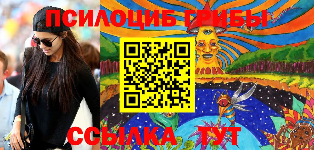 Галлюциногенные грибы Psilocybine cubensis Мегион